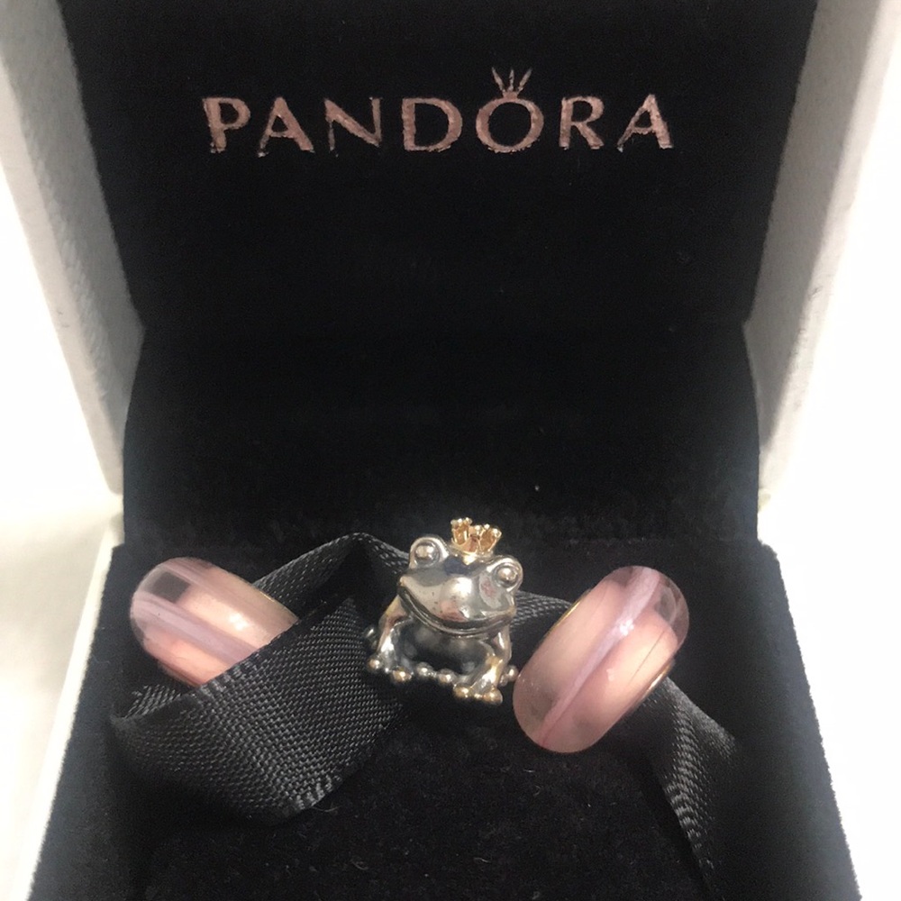 Pandora charms
